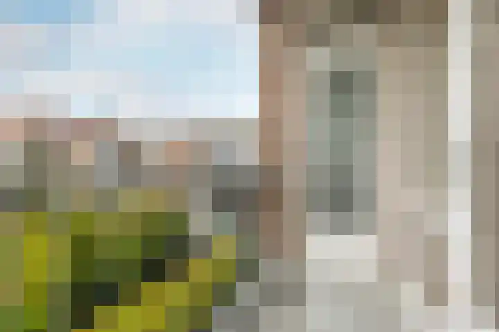 Voornsestraat 4 C Rotterdam thumbnail 6