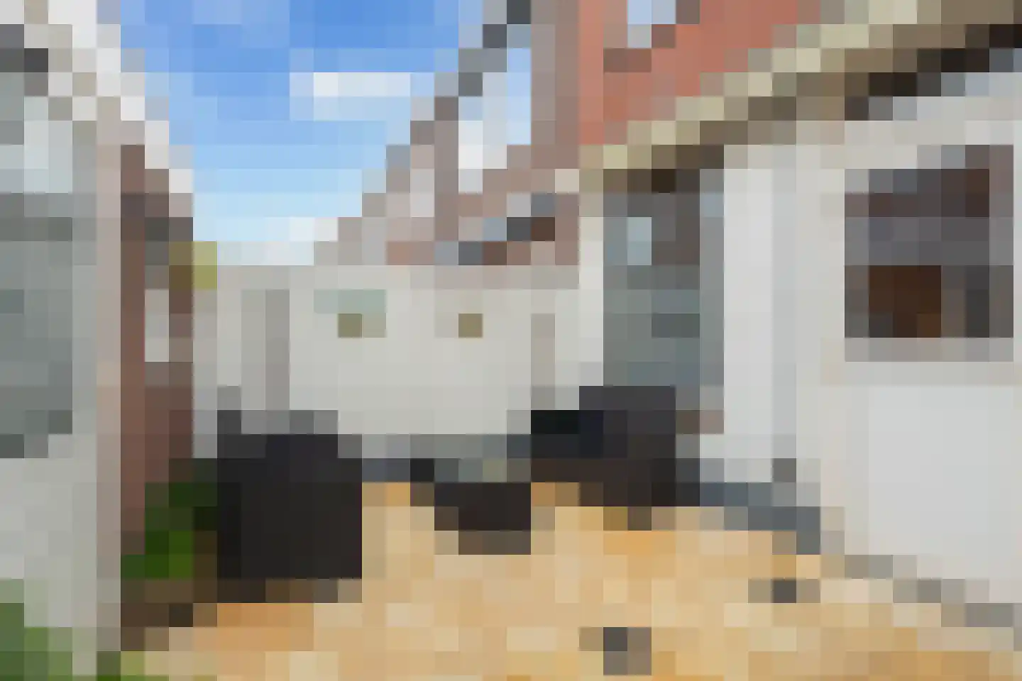 Voornsestraat 47 Den Haag thumbnail 10
