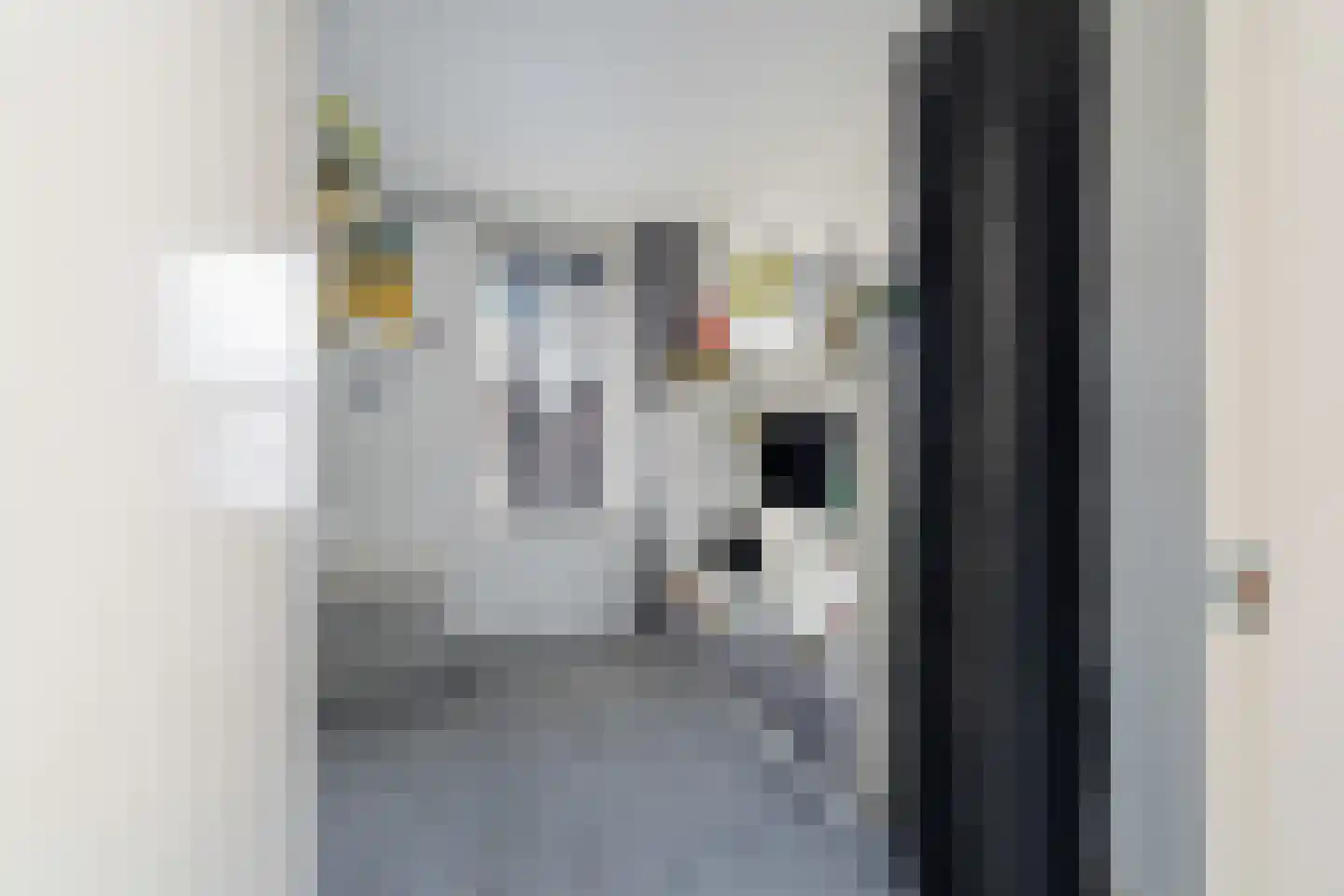 Voornsestraat 47 Den Haag thumbnail 14