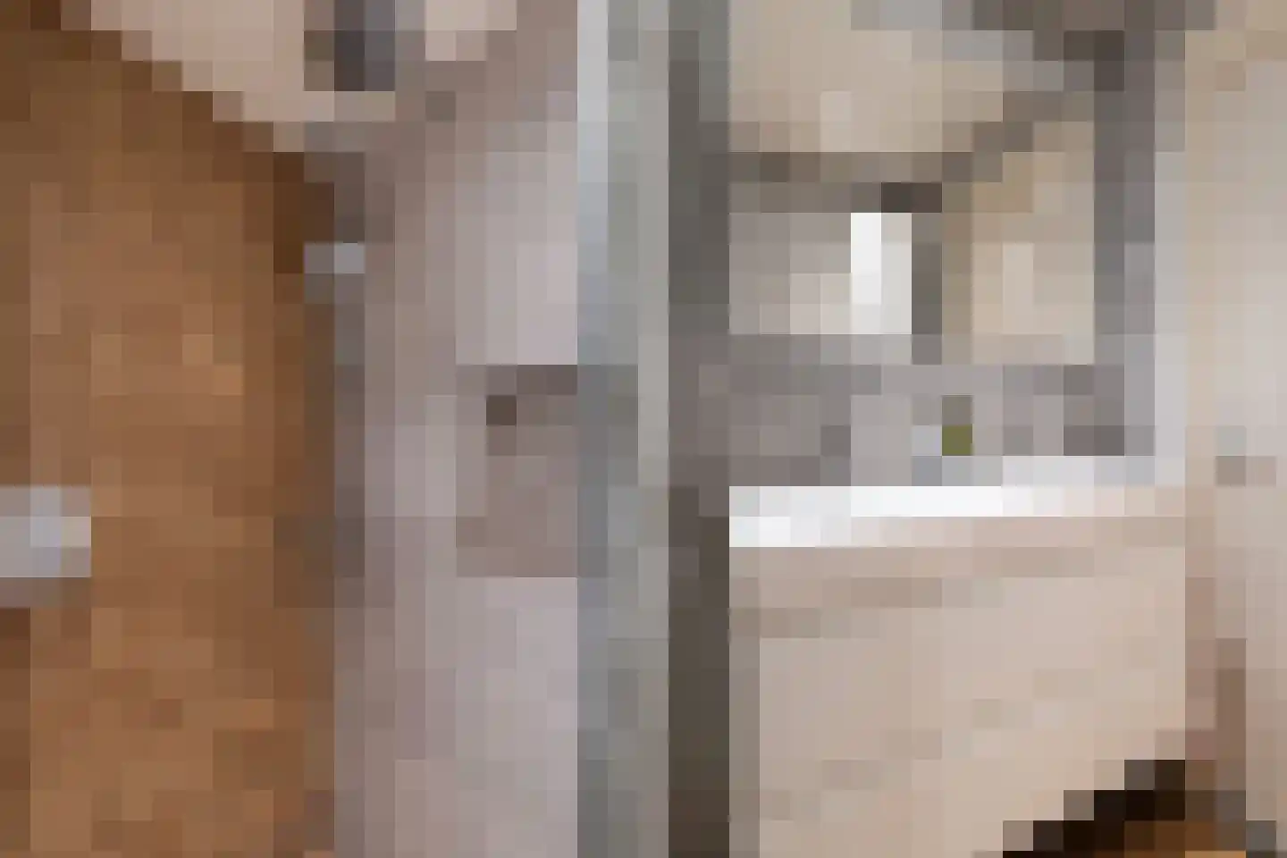 Voornsestraat 47 Den Haag thumbnail 19