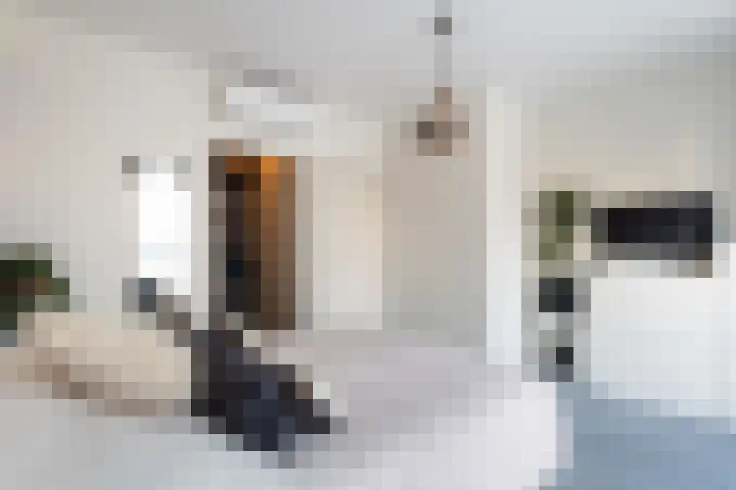 Voornsestraat 47 Den Haag thumbnail 23