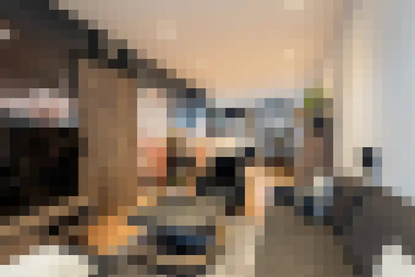 Voornsestraat 47 Den Haag thumbnail 4