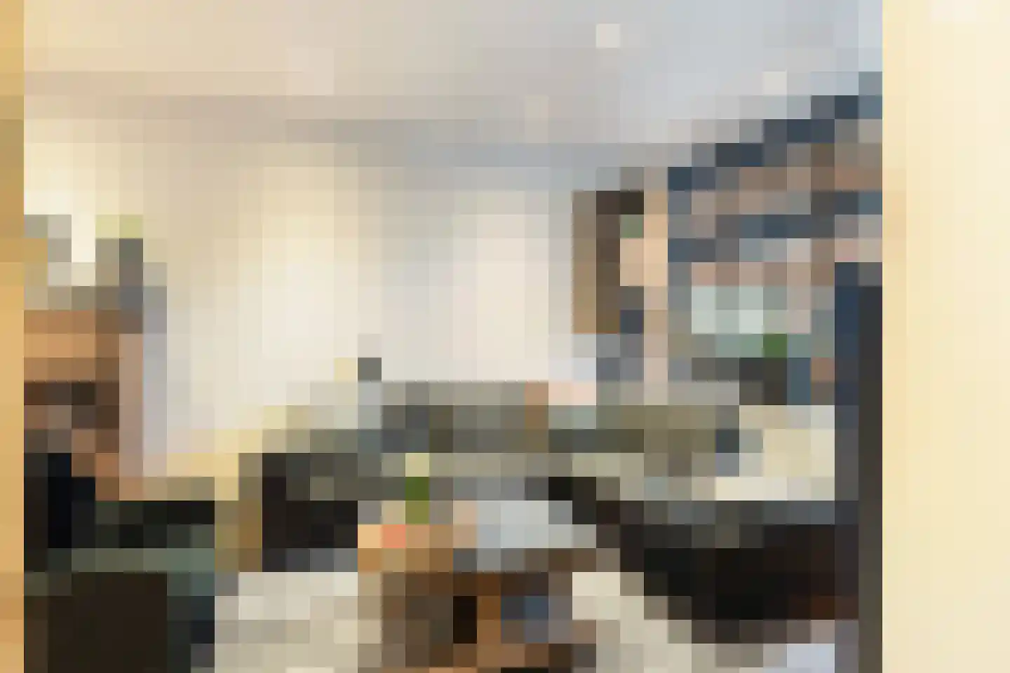 Voornsestraat 47 Den Haag thumbnail 6
