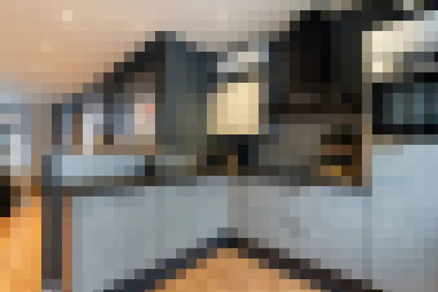 Voornsestraat 47 Den Haag thumbnail 8