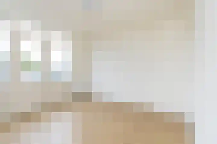 Voornsevliet 11 A Rotterdam thumbnail 18