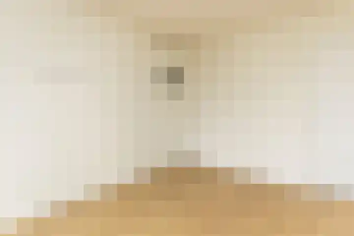 Voornsevliet 11 A Rotterdam thumbnail 21
