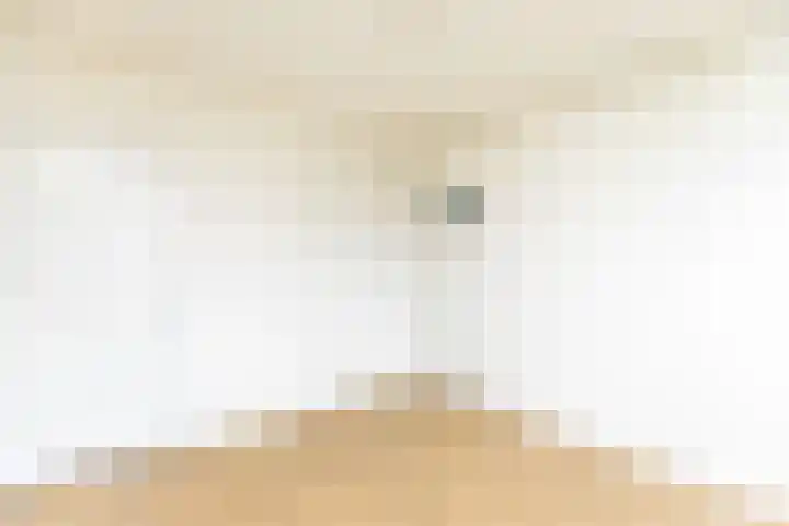 Voornsevliet 11 A Rotterdam thumbnail 23