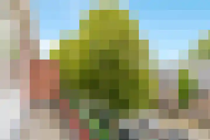 Voornsevliet 11 A Rotterdam thumbnail 5