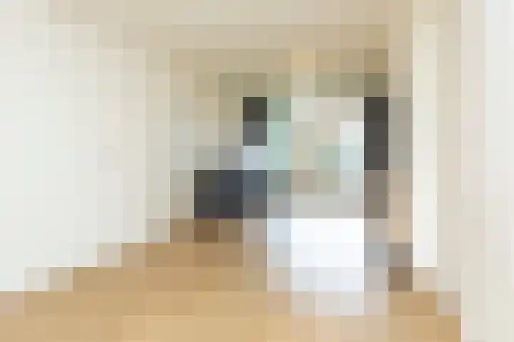 Voornsevliet 11 A Rotterdam thumbnail 9