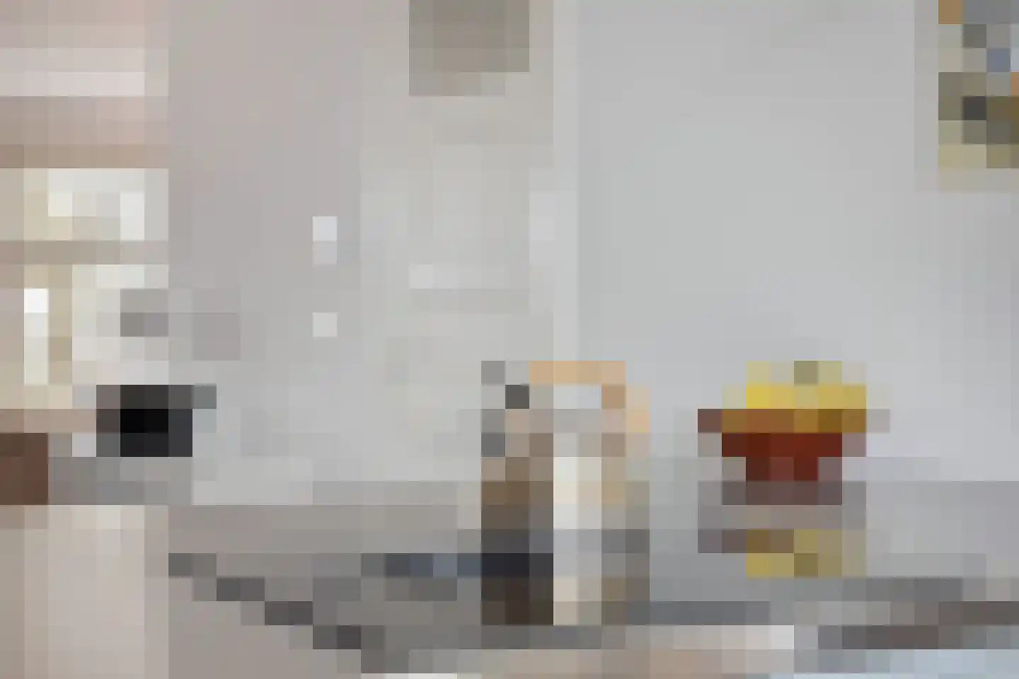 Voornsevliet 3 A Rotterdam thumbnail 22