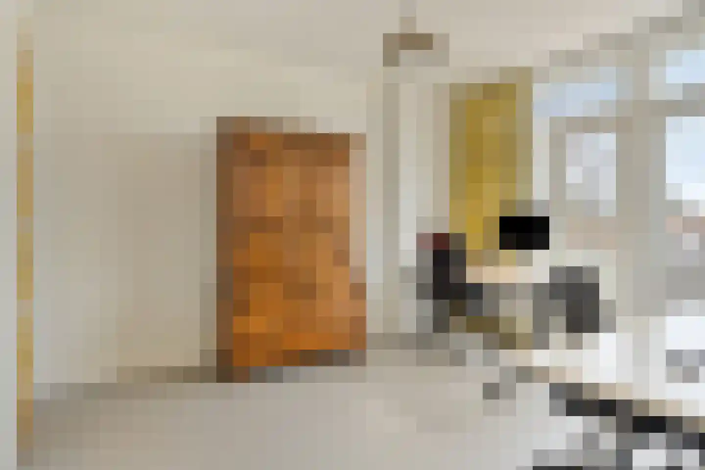 Voornsevliet 3 B Rotterdam thumbnail 33