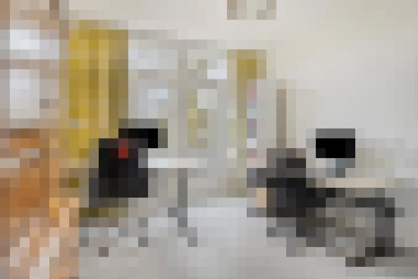 Voornsevliet 3 B Rotterdam thumbnail 34