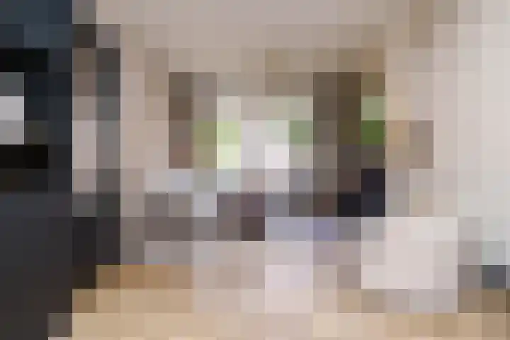 Voornsevliet 5 A Rotterdam thumbnail 10