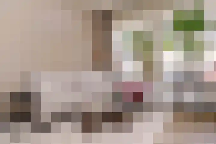 Voornsevliet 5 A Rotterdam thumbnail 11