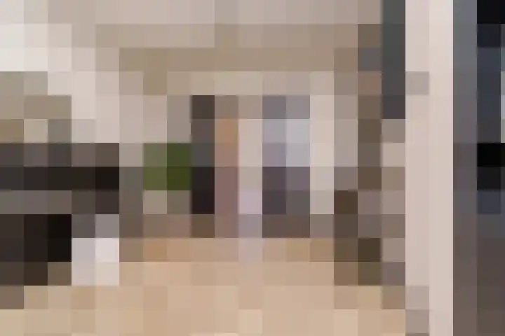 Voornsevliet 5 A Rotterdam thumbnail 13