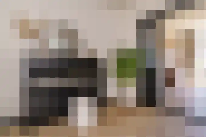 Voornsevliet 5 A Rotterdam thumbnail 14