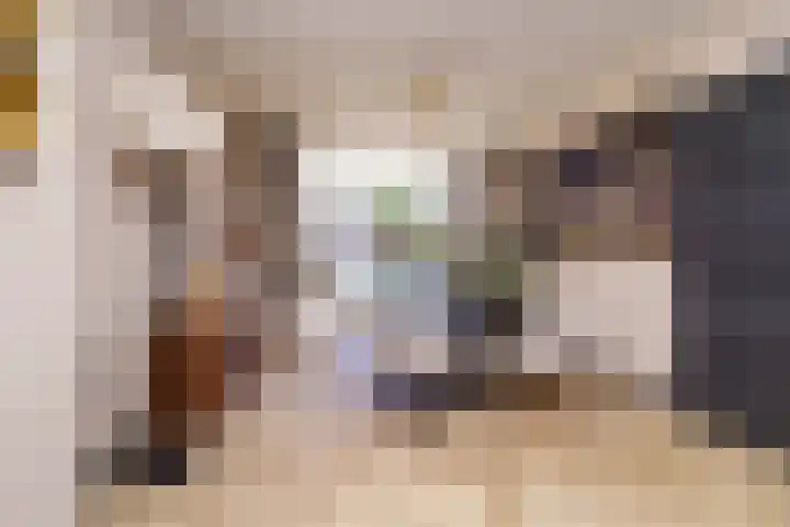 Voornsevliet 5 A Rotterdam thumbnail 17
