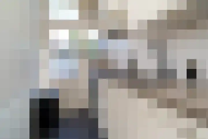 Voornsevliet 5 A Rotterdam thumbnail 19