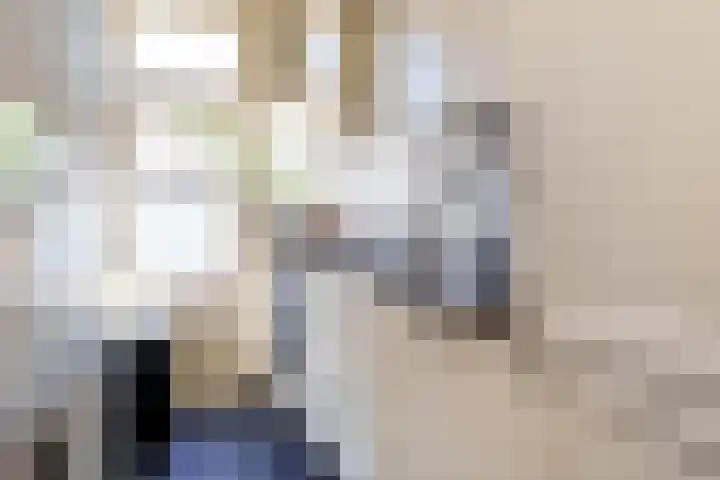 Voornsevliet 5 A Rotterdam thumbnail 20