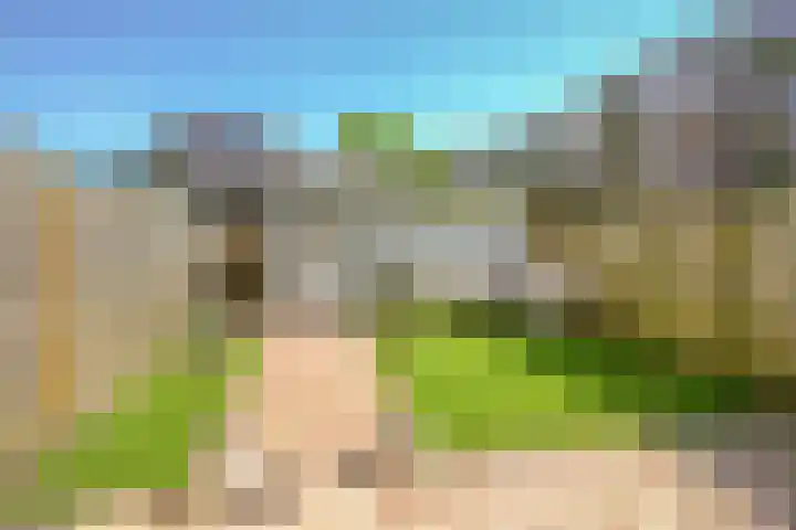 Voornsevliet 5 A Rotterdam thumbnail 26