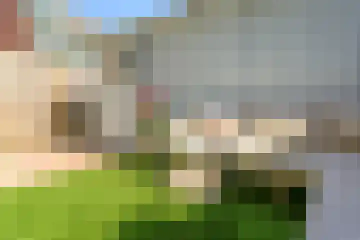 Voornsevliet 5 A Rotterdam thumbnail 27