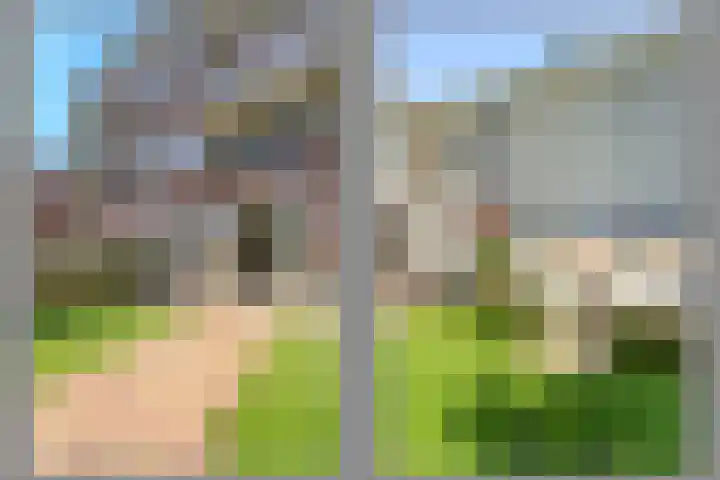 Voornsevliet 5 A Rotterdam thumbnail 30