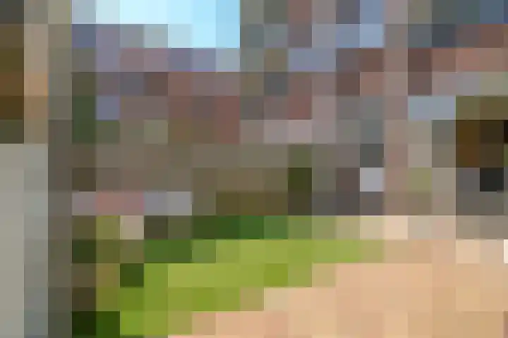 Voornsevliet 5 A Rotterdam thumbnail 31