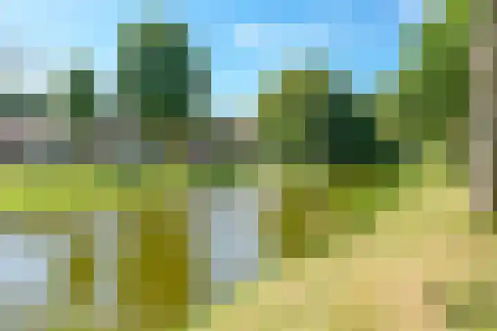 Voornsevliet 5 A Rotterdam thumbnail 33
