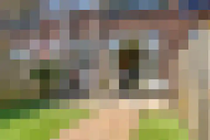 Voornsevliet 5 A Rotterdam thumbnail 4
