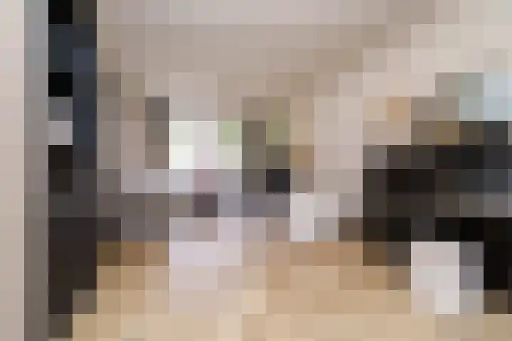 Voornsevliet 5 A Rotterdam thumbnail 7