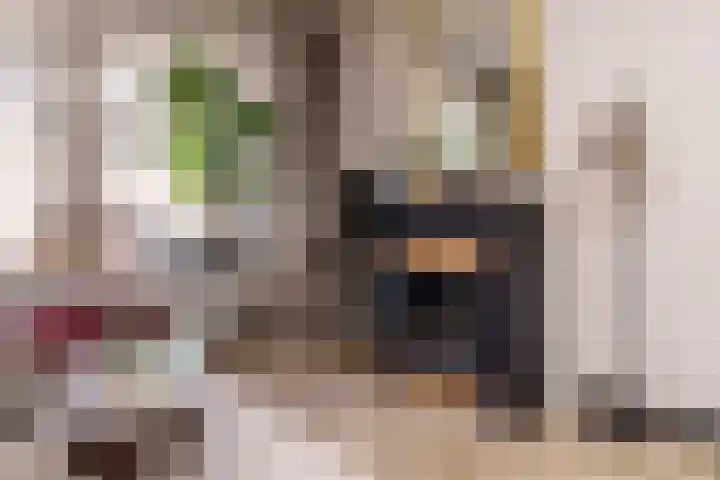 Voornsevliet 5 A Rotterdam thumbnail 9