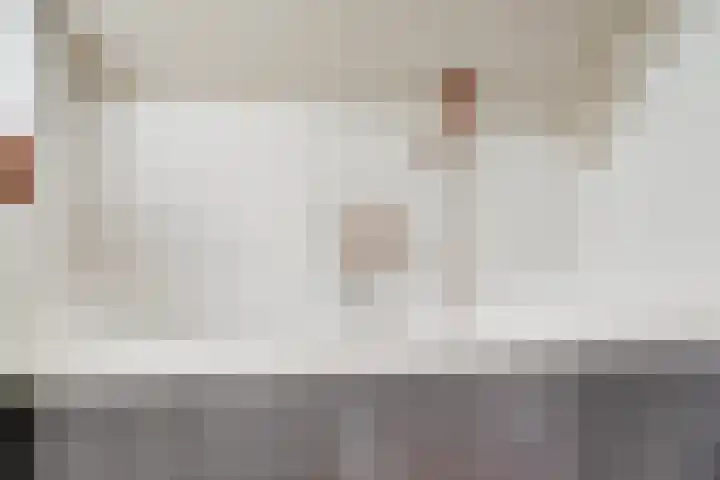 Voorofscheweg 220 Boskoop thumbnail 24