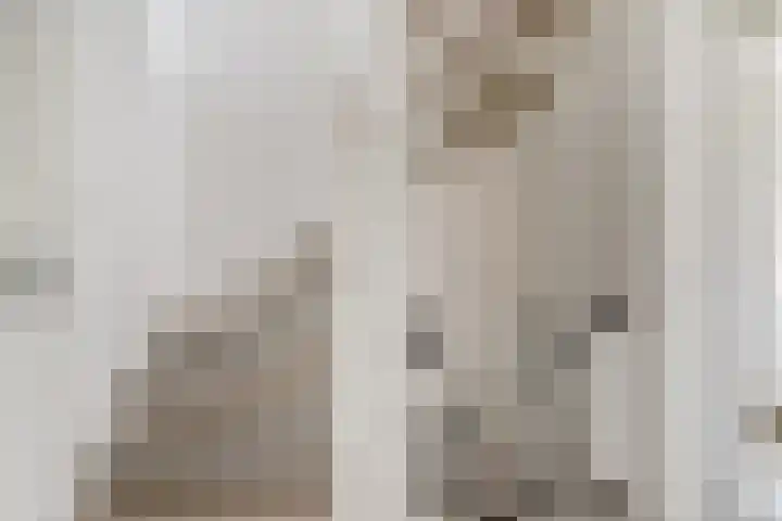 Voorofscheweg 220 Boskoop thumbnail 29