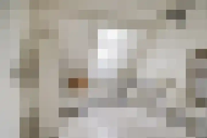 Voorofscheweg 220 Boskoop thumbnail 32