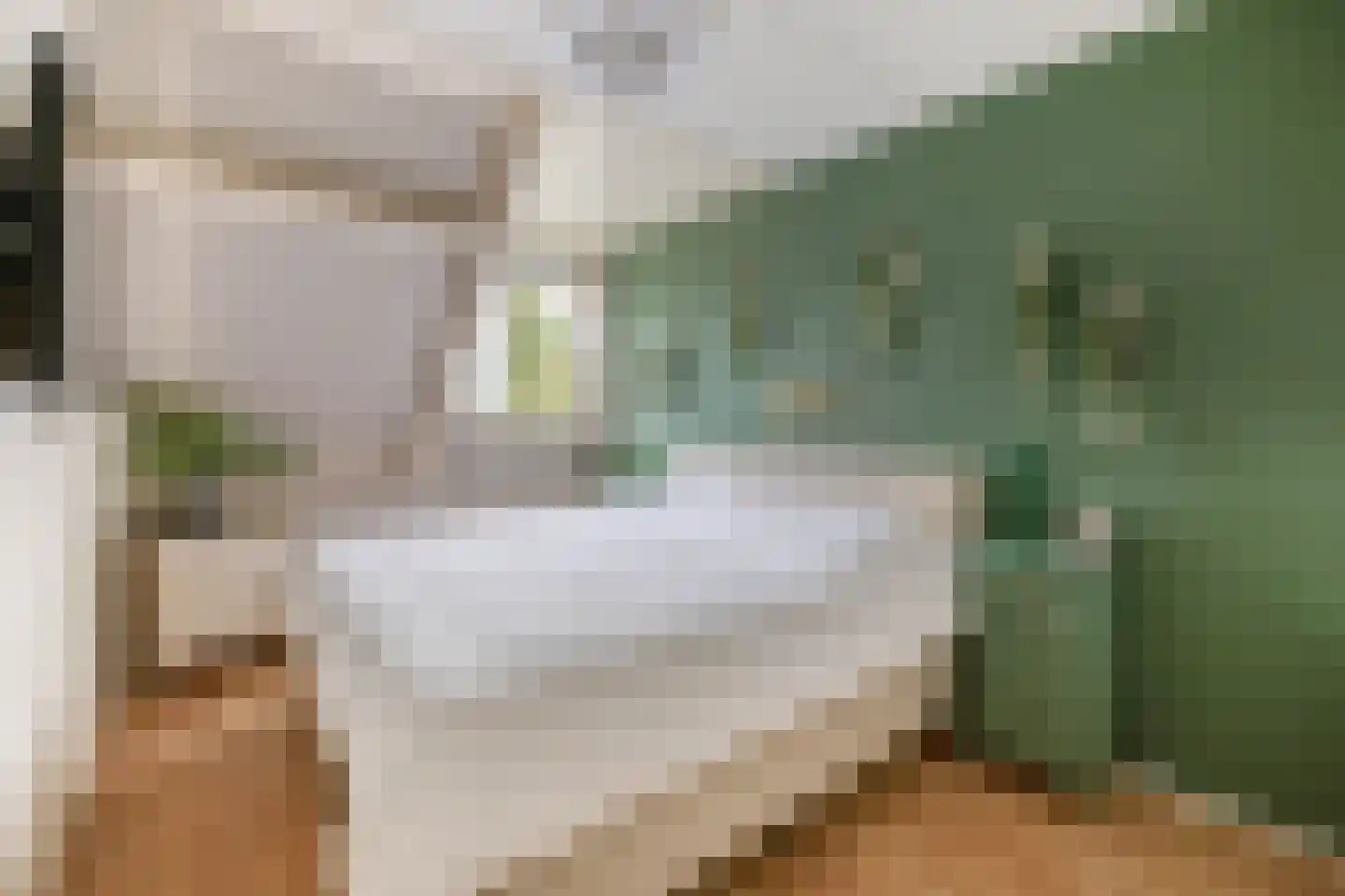 Voorofscheweg 224 Boskoop thumbnail 11