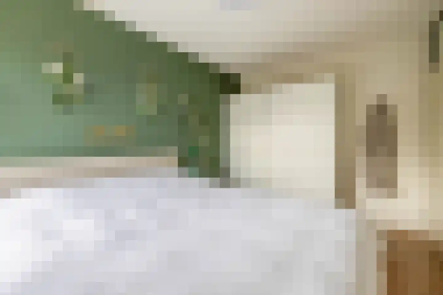 Voorofscheweg 224 Boskoop thumbnail 12