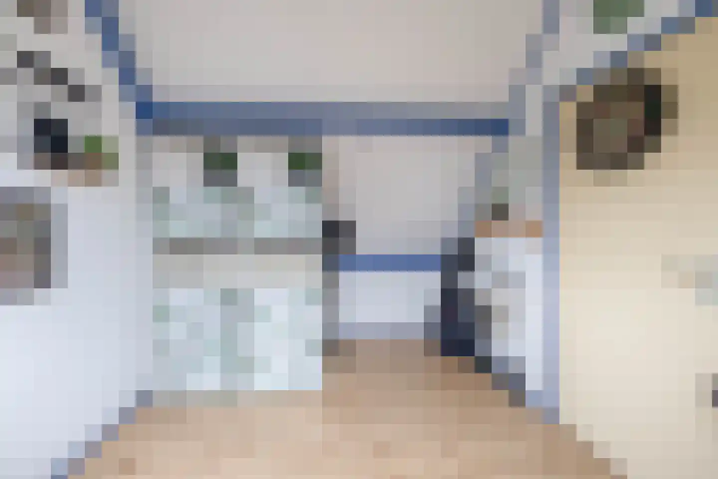 Voorofscheweg 224 Boskoop thumbnail 19