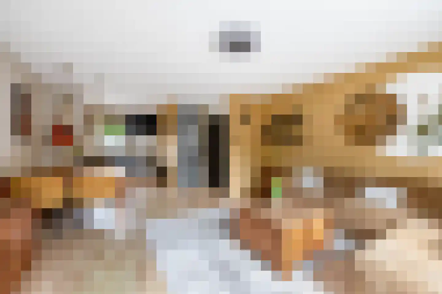Voorofscheweg 224 Boskoop thumbnail 4