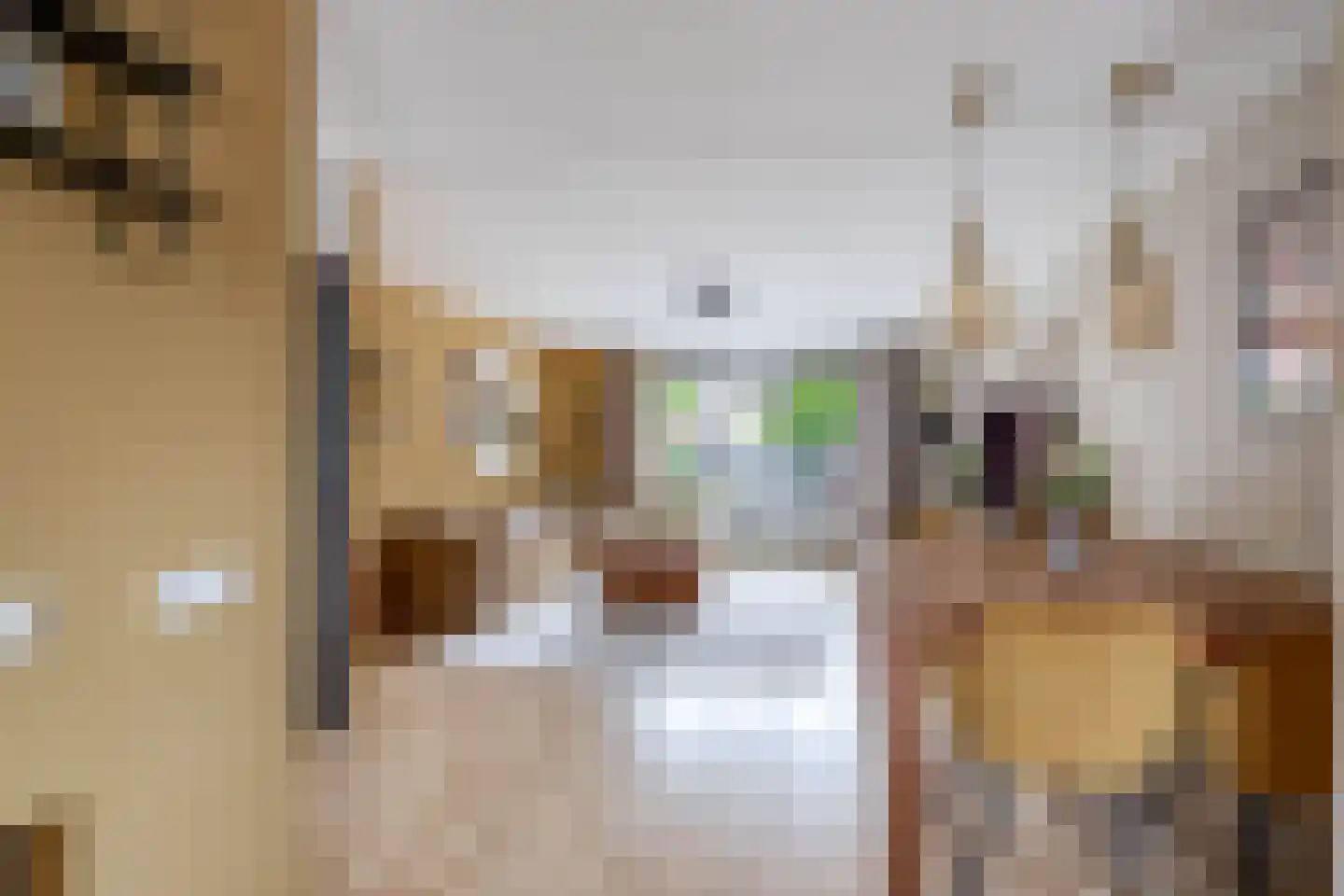 Voorofscheweg 224 Boskoop thumbnail 8