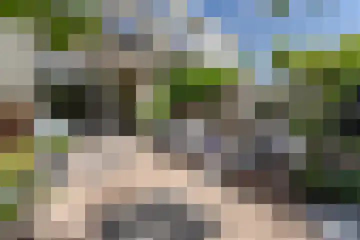 Voorofscheweg 260 Boskoop thumbnail 10