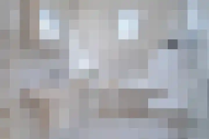 Voorofscheweg 260 Boskoop thumbnail 16