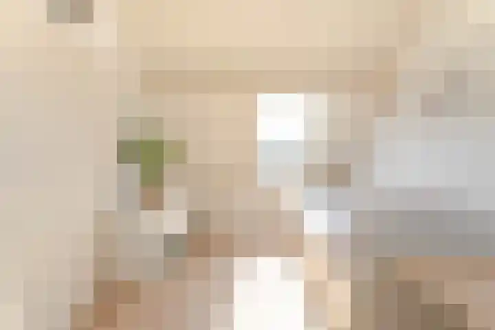 Voorofscheweg 260 Boskoop thumbnail 19