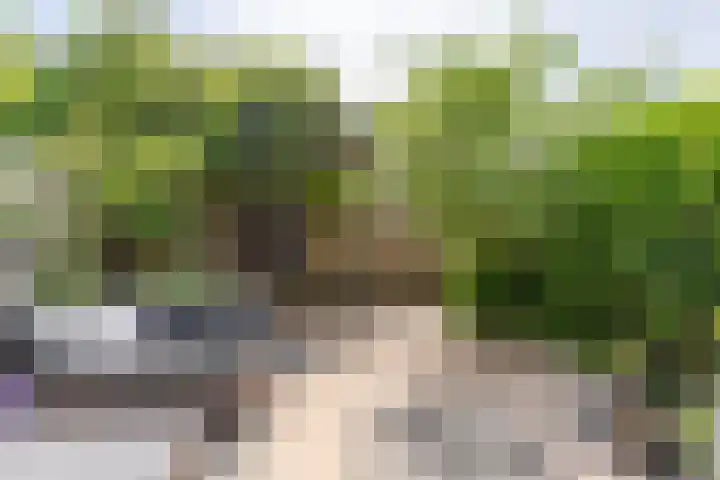 Voorofscheweg 260 Boskoop thumbnail 9