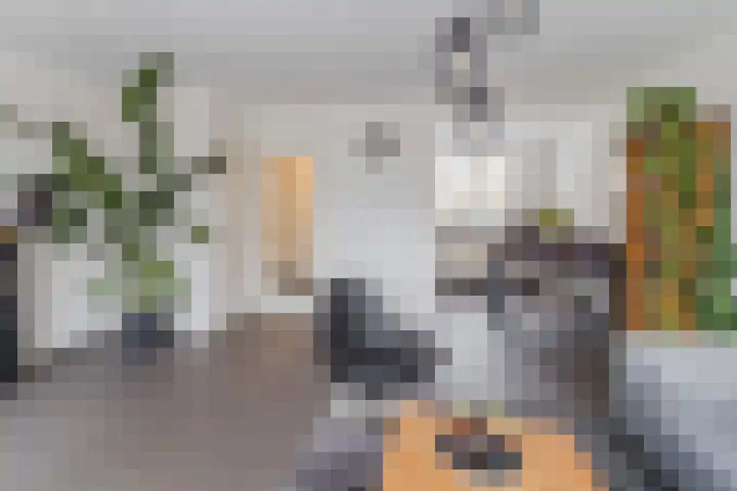 Voorofscheweg 364 Boskoop thumbnail 11