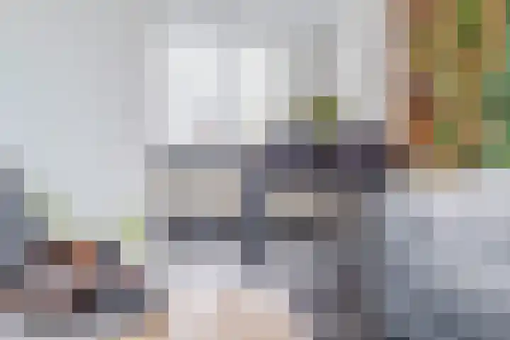 Voorofscheweg 364 Boskoop thumbnail 12
