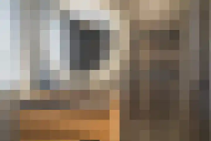 Voorofscheweg 364 Boskoop thumbnail 25