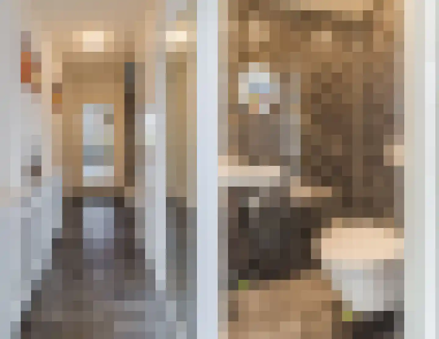 Voorofscheweg 364 Boskoop thumbnail 7
