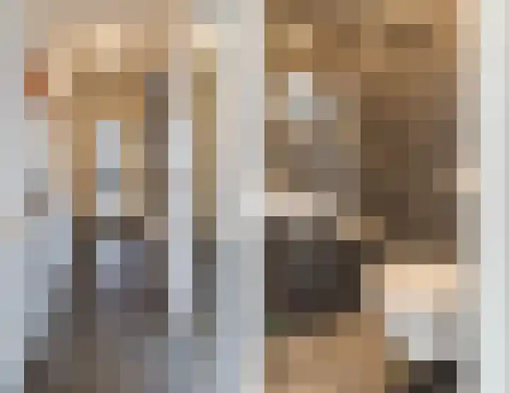 Voorofscheweg 364 Boskoop thumbnail 7
