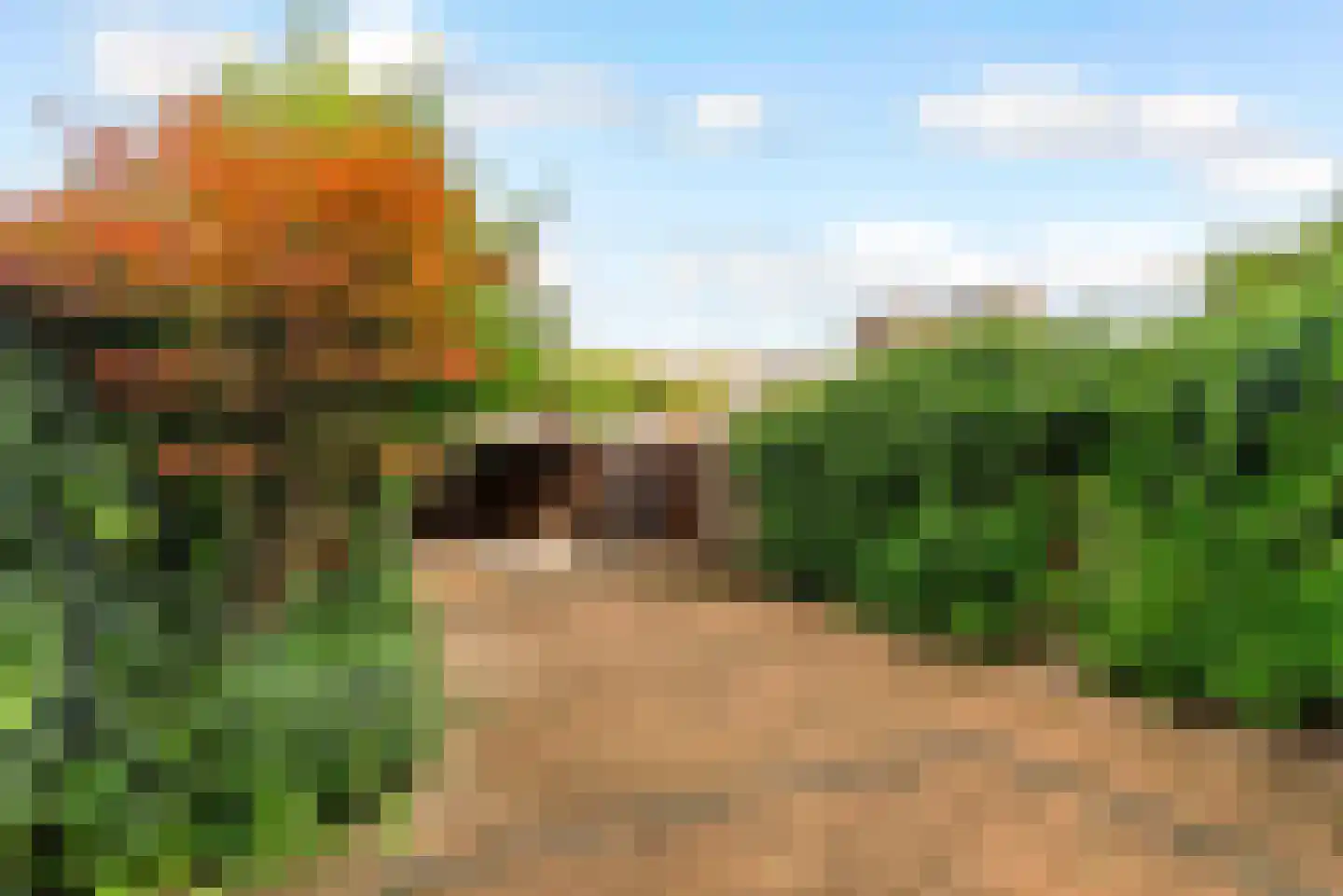 Vooronder 12 Almere thumbnail 39