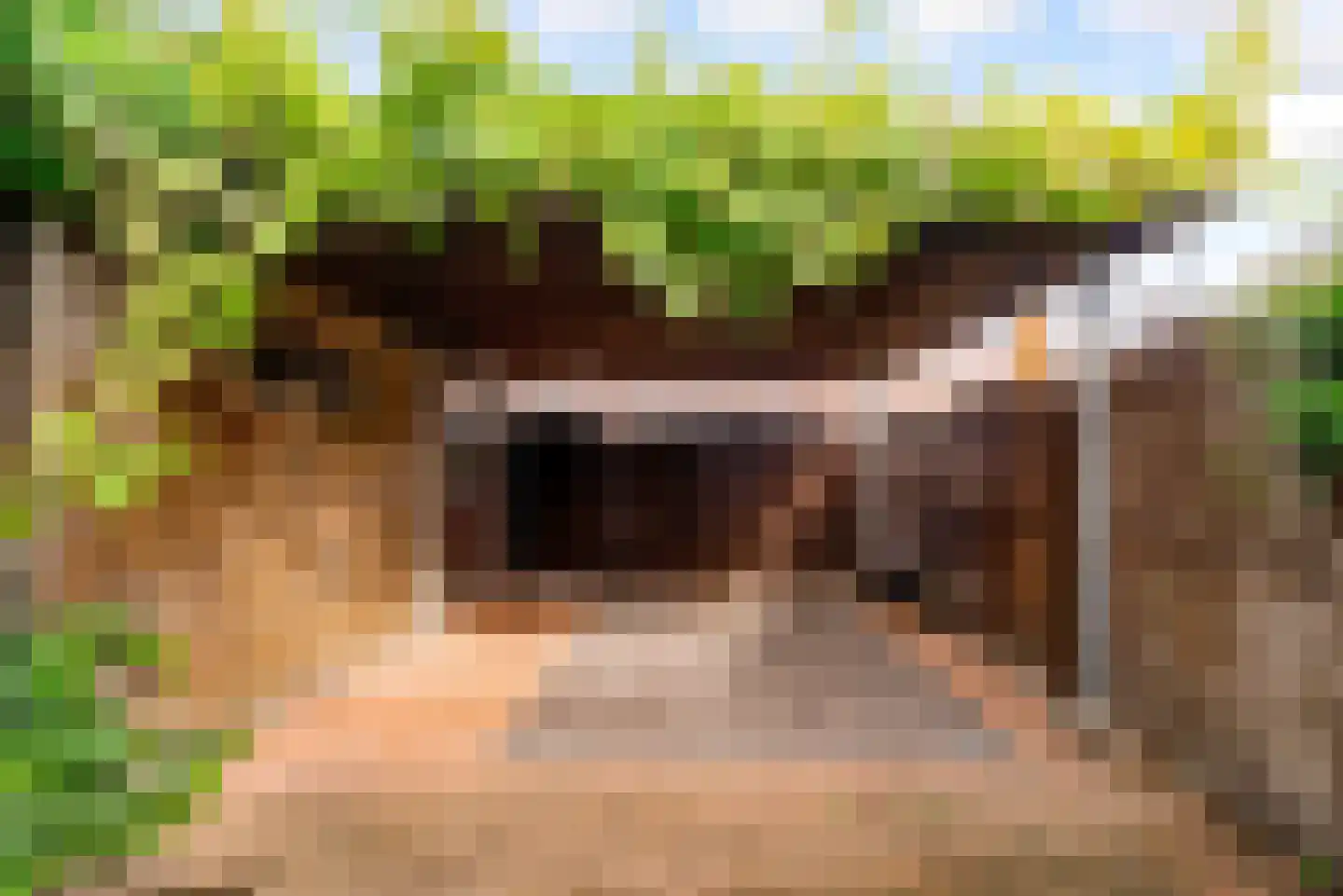 Vooronder 12 Almere thumbnail 4